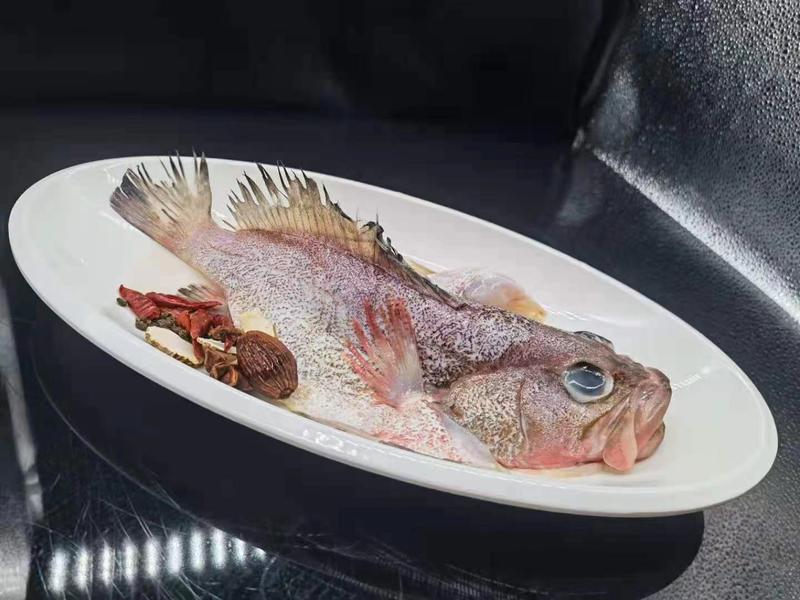 红鳍斑鱼（蒜瓣肉质，活鱼品质）