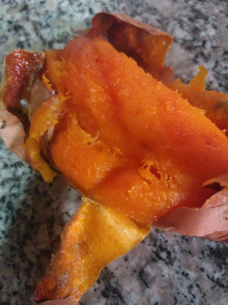 沙土地烟薯25