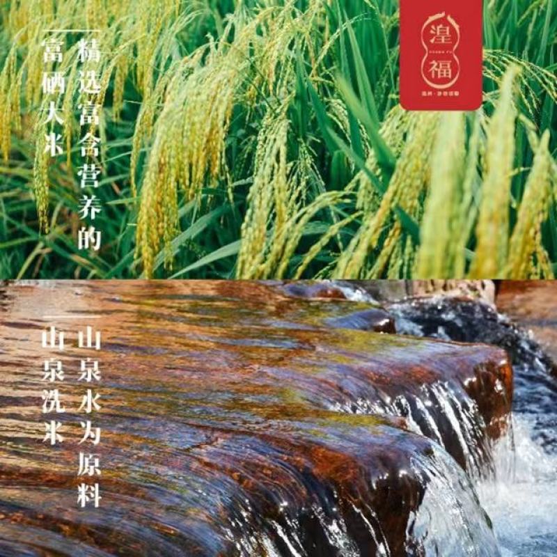沙坊粉