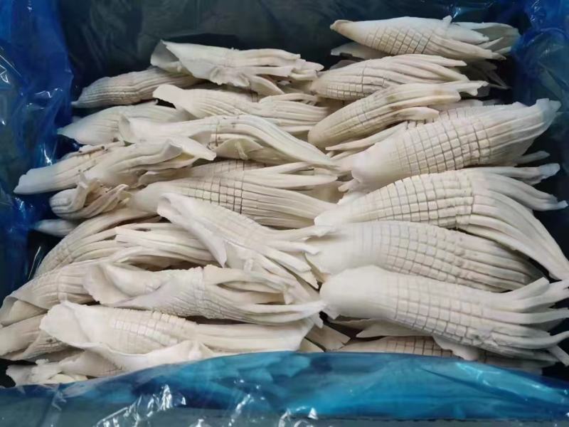 新品，网红火箭鱿鱼，一手货源，货源充足，品质保证，大品牌