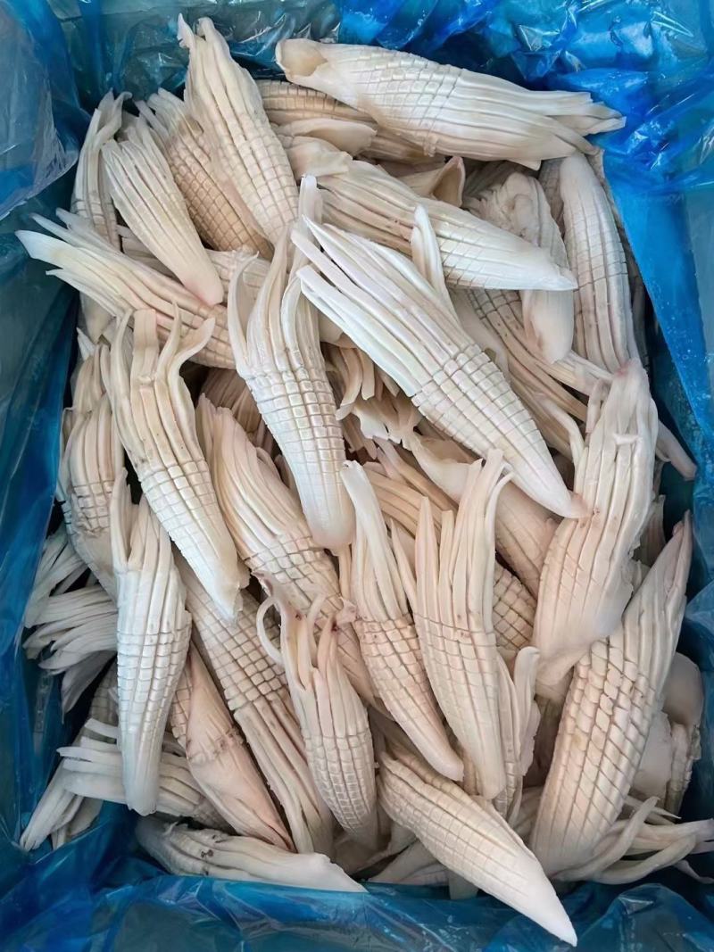 新品，网红火箭鱿鱼，一手货源，货源充足，品质保证，大品牌