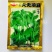 豌豆高产荷兰豆生吃甜脆豌豆种子菜麦豆玉佛籽豌豆种子