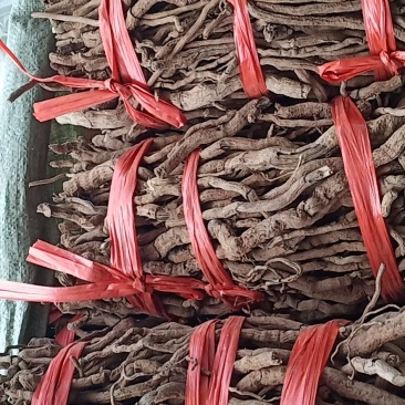 海南胡椒根大量现货质量保证欢迎联系采购量大从优