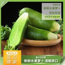 【一件代发】正宗潍县水果萝卜清脆爽口沙窝萝卜七星萝卜
