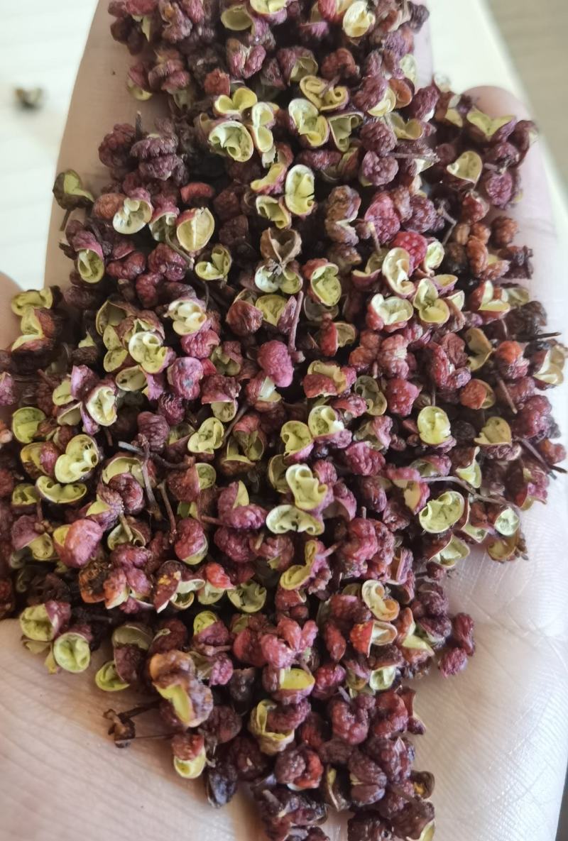 红花椒茂汶花椒武都大红袍2022新货花椒甘肃花椒