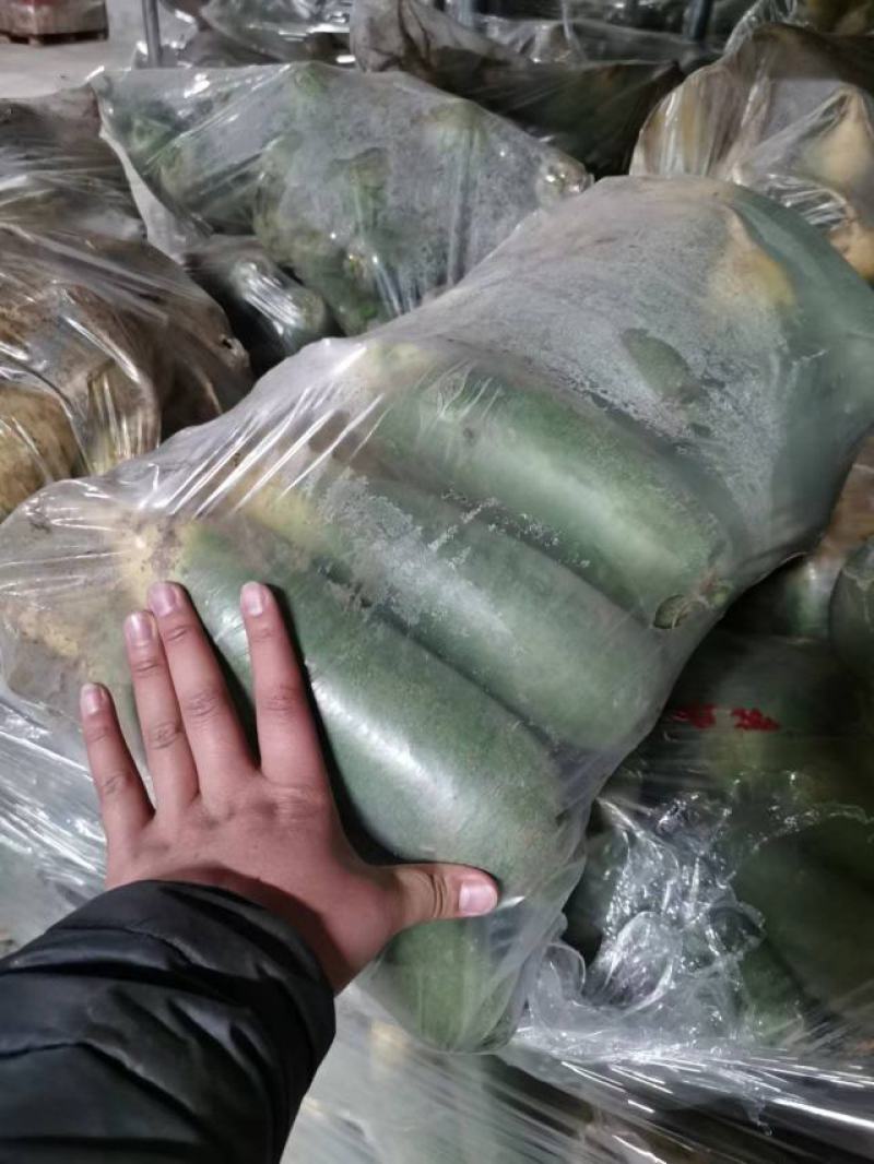 正宗潍县水果萝卜，清脆爽口，沙窝萝卜一件代发