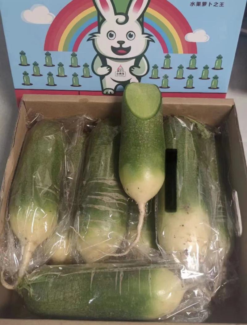 正宗潍县水果萝卜，清脆爽口，沙窝萝卜一件代发