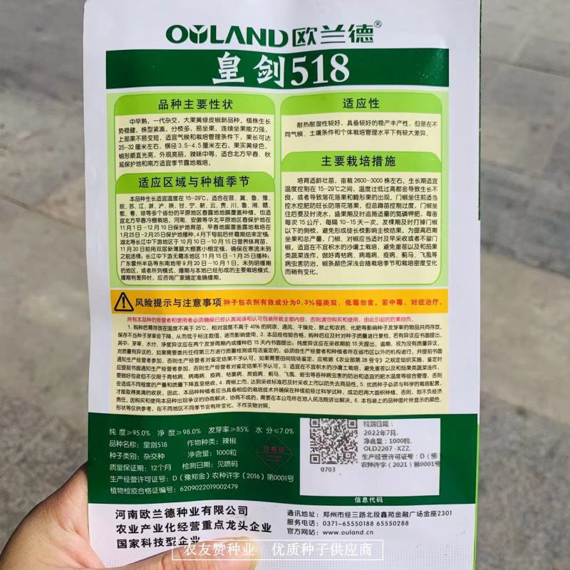 大果黄绿皮辣椒种子椒型顺直光亮，辣味中等黄绿色牛角椒种子
