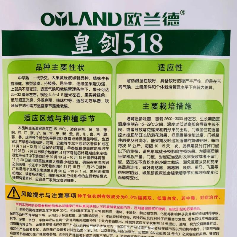 大果黄绿皮辣椒种子椒型顺直光亮，辣味中等黄绿色牛角椒种子