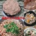 厂家直发精品【煮肉片】福鼎肉片瘦肉丸一手货源价格优惠
