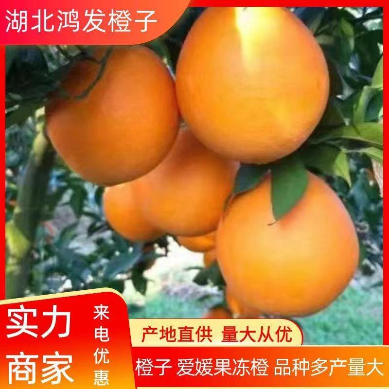 湖北橙子纽荷尔皮薄汁多味甜，对接全国各地电商市场现采现摘