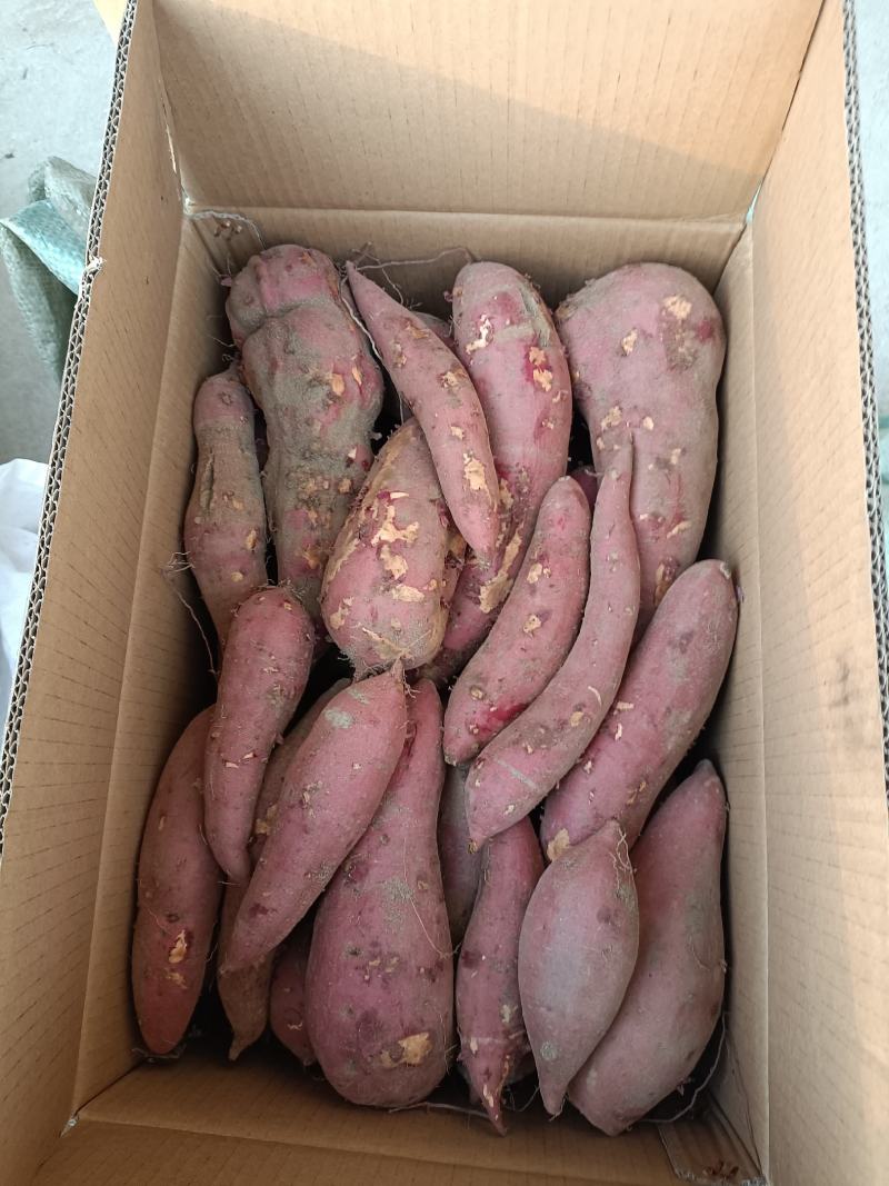 大量供应，西瓜红蜜薯，地瓜，山药