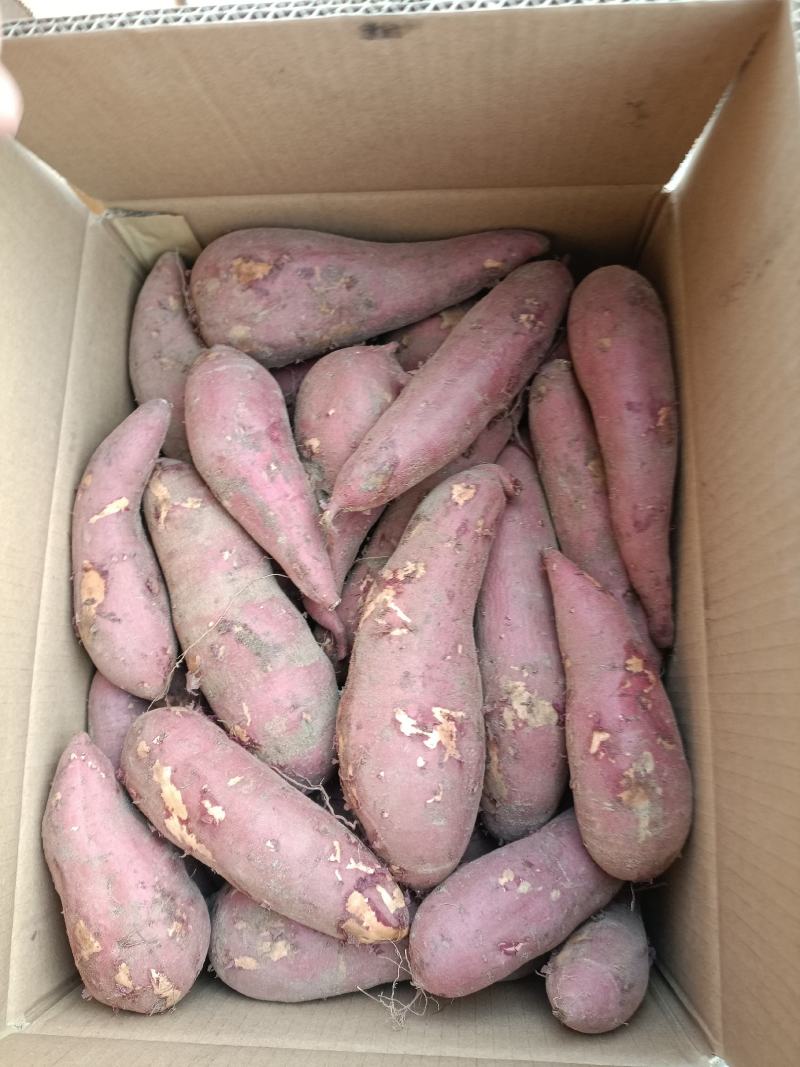 大量供应，西瓜红蜜薯，地瓜，山药