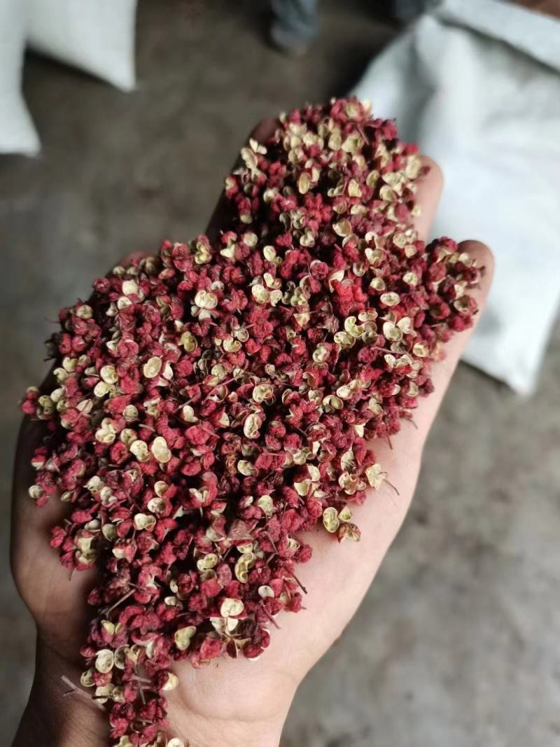 红花椒茂汶花椒武都大红袍2022新货花椒甘肃花椒