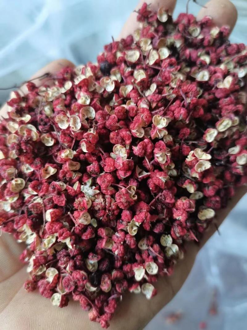 红花椒茂汶花椒武都大红袍2022新货花椒甘肃花椒
