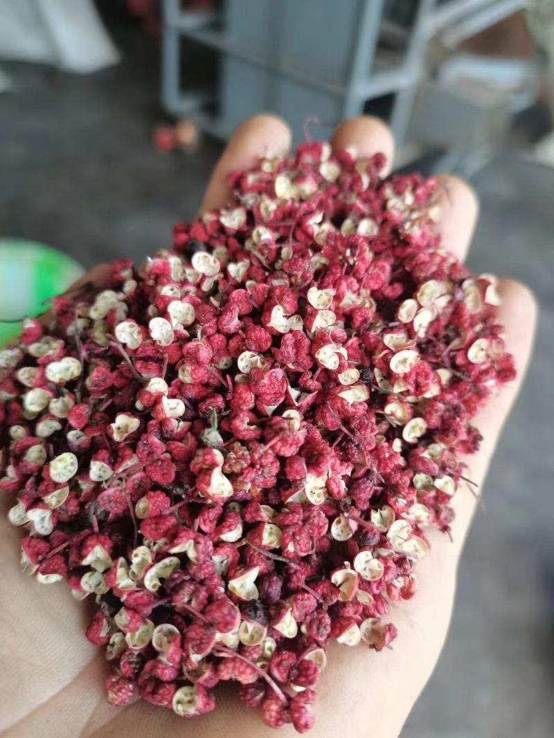 红花椒茂汶花椒武都大红袍2022新货花椒甘肃花椒