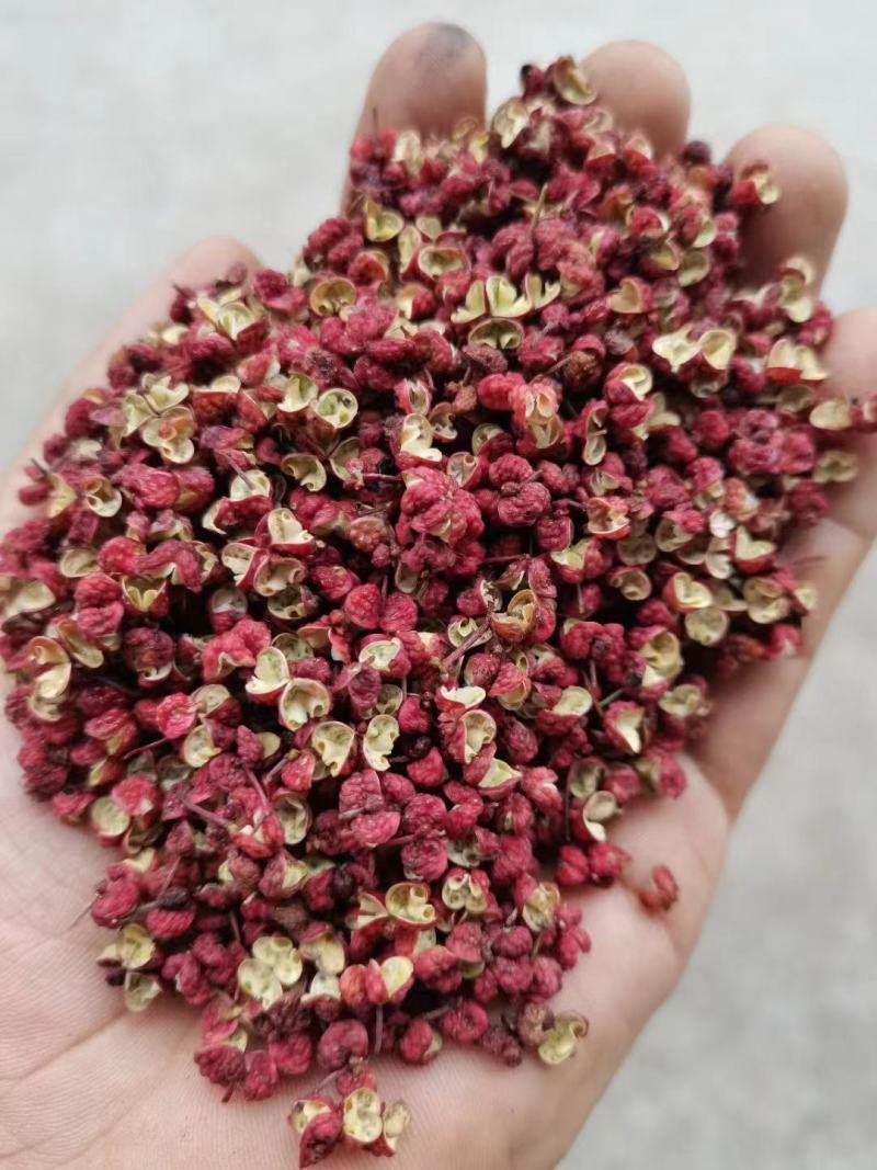 红花椒茂汶花椒武都大红袍2022新货花椒甘肃花椒
