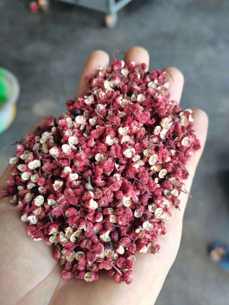 红花椒茂汶花椒武都大红袍2022新货花椒甘肃花椒