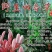 回春草，神仙小草，还阳草，顶天柱，云南野生不老草2斤包邮