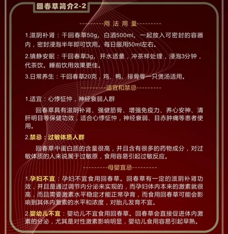 回春草，神仙小草，还阳草，顶天柱，云南野生不老草2斤包邮
