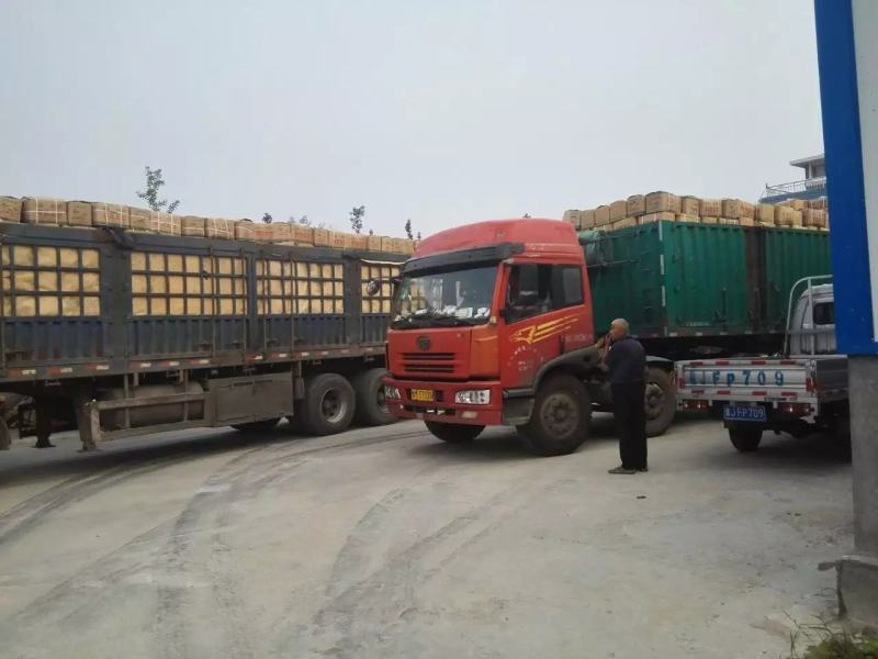 泗水县荷兰土豆大量出售中……………………………