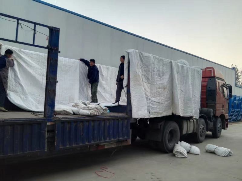 泗水县荷兰土豆大量出售中……………………………