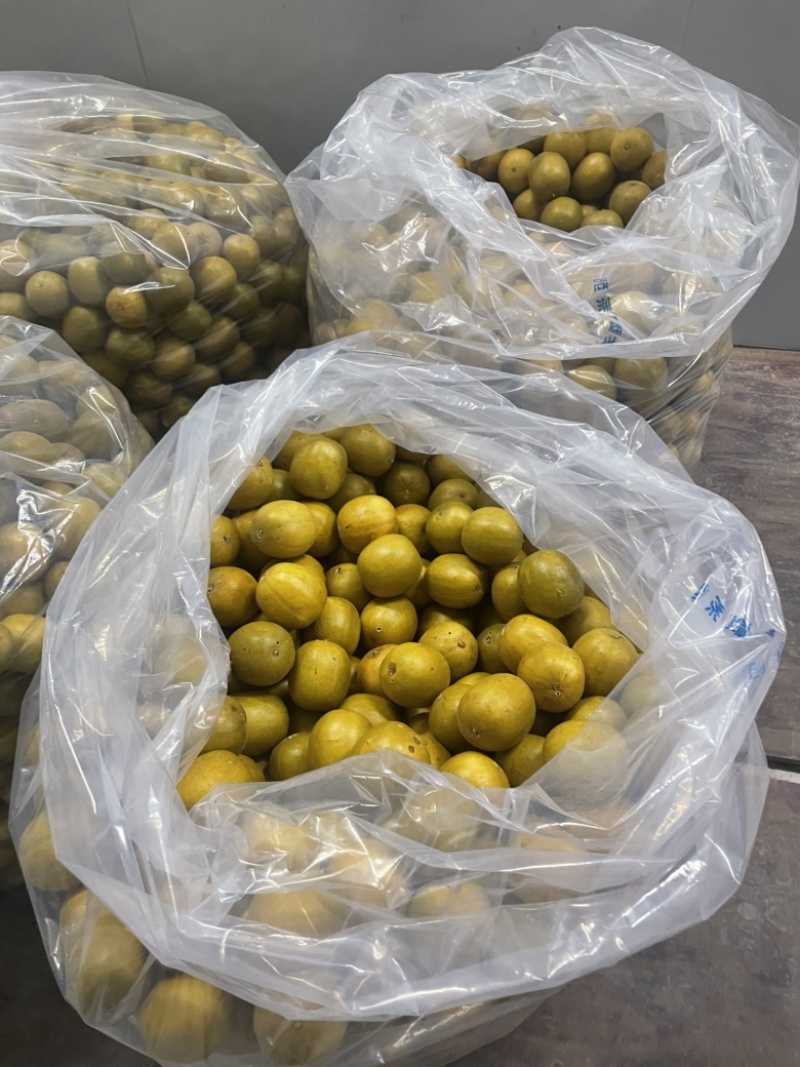 广西永福罗汉果低温脱水黄金果