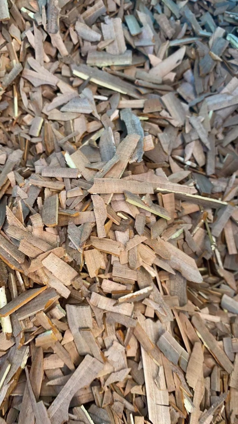 东北鬼箭羽，主供厂家，大量有货