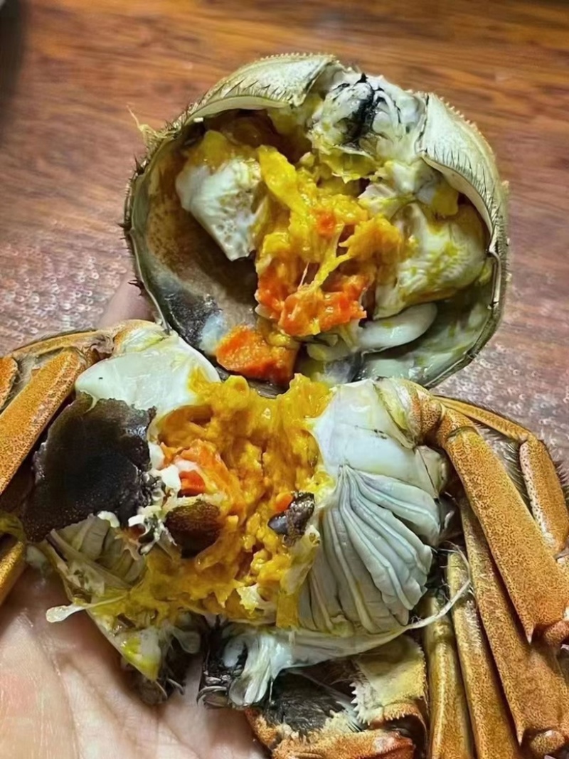 盘锦稻田蟹苗大量有货需要的老板可以联系，全国发货