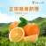 湖南纽荷尔脐橙和江西赣南脐橙供应全国湖南桂东产地