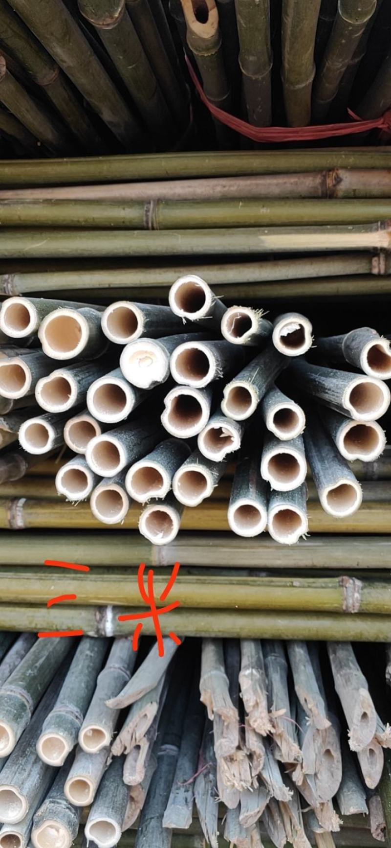 大量批发优质的竹竿。欢迎各位老板及农户请来咨询。