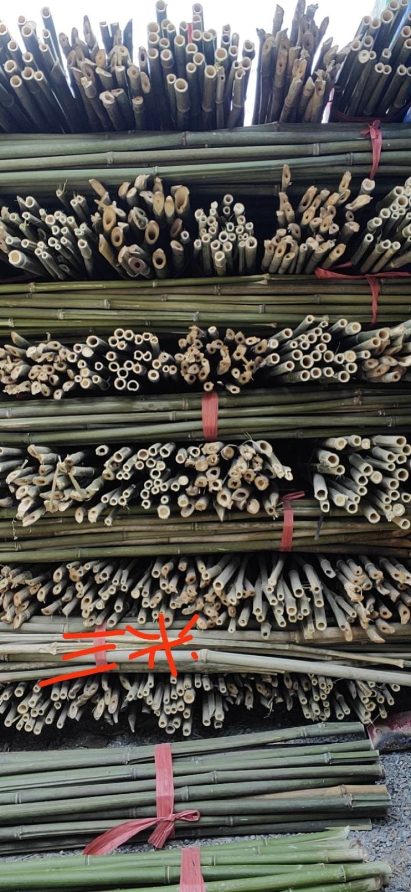 大量批发优质的竹竿。欢迎各位老板及农户请来咨询。