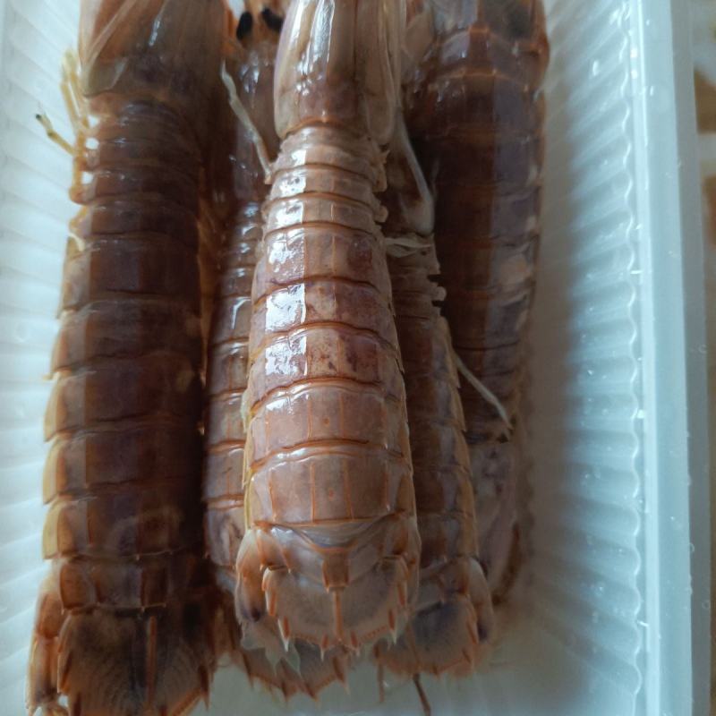 新鲜浦捞皮皮虾熟冻即食皮皮虾香辣椒盐爆炒精品捞汁食材