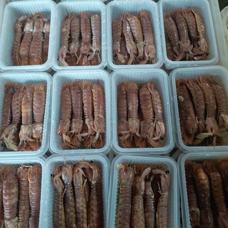 新鲜浦捞皮皮虾熟冻即食皮皮虾香辣椒盐爆炒精品捞汁食材