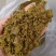 全脂棉籽饼蛋白30多代替豆粕适合各种养殖