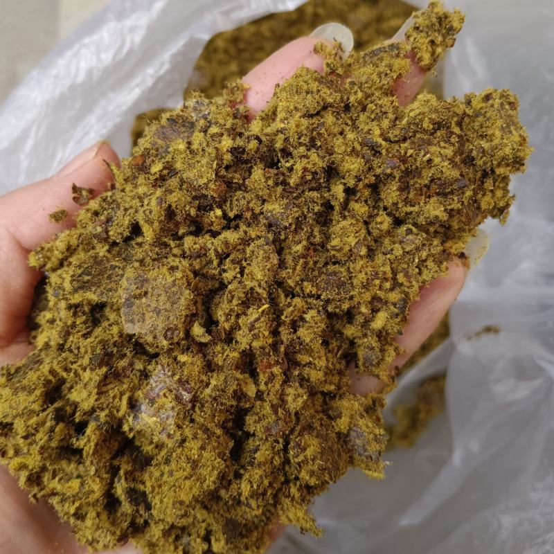 全脂棉籽饼蛋白30多代替豆粕适合各种养殖