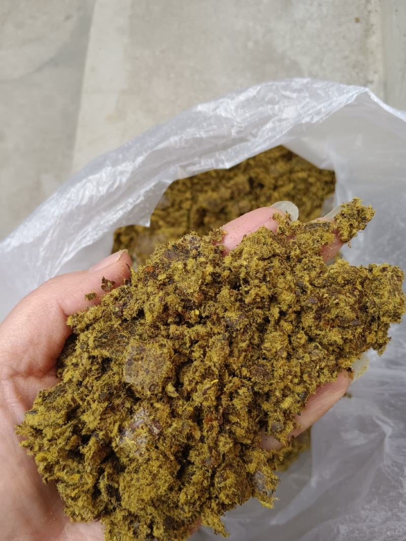 全脂棉籽饼蛋白30多代替豆粕适合各种养殖
