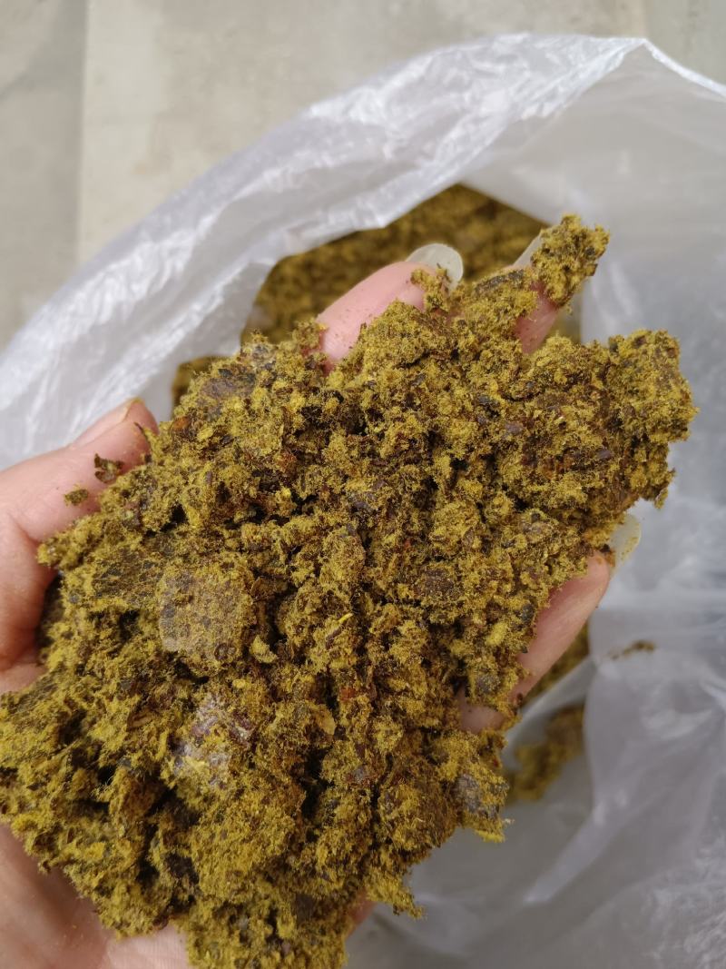全脂棉籽饼蛋白30多代替豆粕适合各种养殖