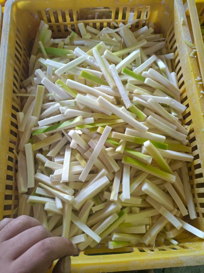 麻竹笋。产地一手货源，