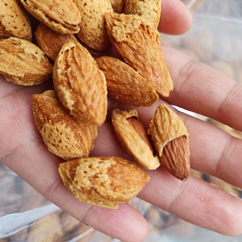 薄皮巴旦木巴旦木商超电商货源批发散装坚果货源薄皮黄金
