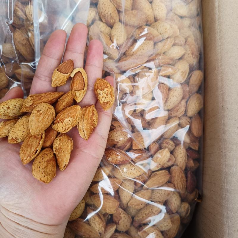 薄皮巴旦木巴旦木商超电商货源批发散装坚果货源薄皮黄金