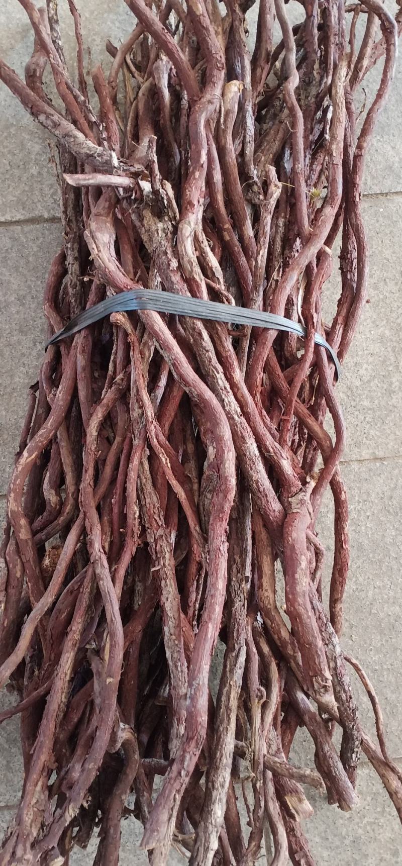 红穿石根