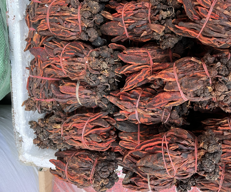 回春草，云南回春草，颜色红回春草，无硫磺回春草，大货