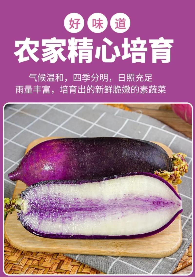 脆甜可口冰激凌水果萝卜整车发货（礼盒箱包装）