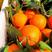 【实力助农】锦橙中华红橙秭归脐橙/承接全国发货保质保量