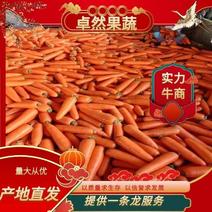 精品胡萝卜，一手货源，产地直发，保质保量