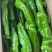 夏邑鲜辣椒，301泡椒，万亩大棚辣椒基地
