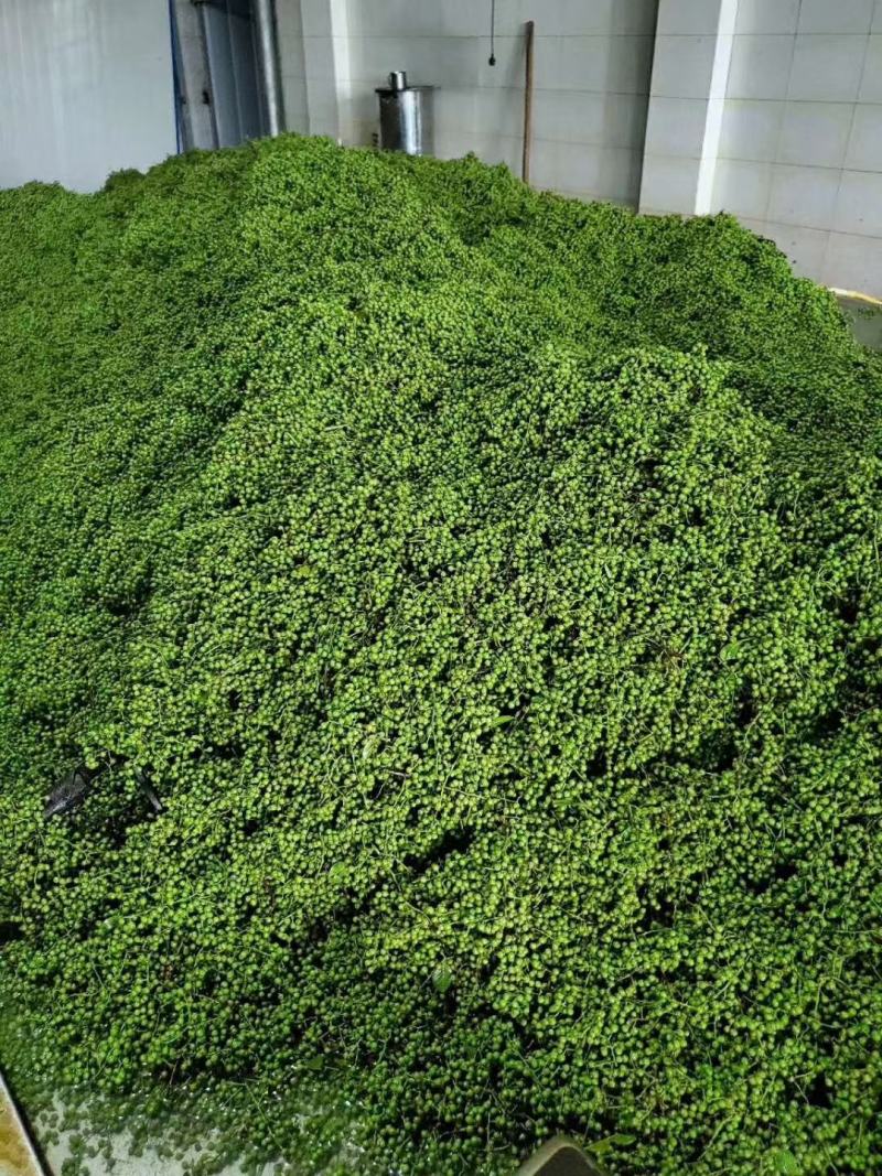 鲜花椒，重庆九叶青鲜花椒，一手货，询价优惠