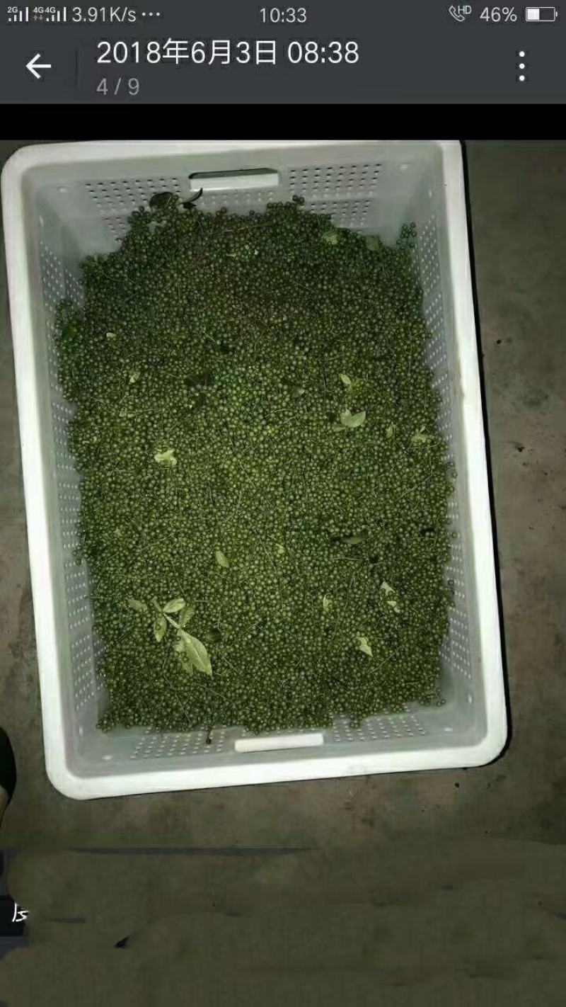鲜花椒，重庆九叶青鲜花椒，一手货，询价优惠