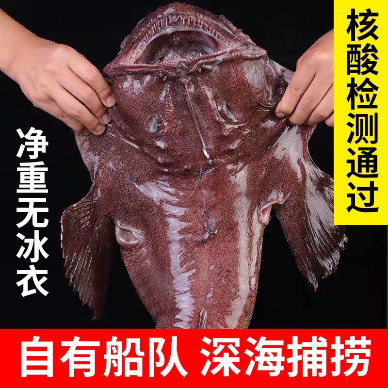 安康鱼